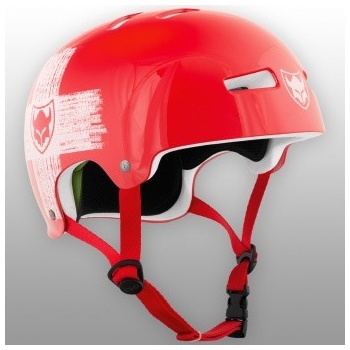 TSG Evolution Graphic