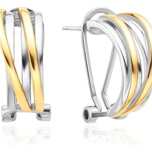 AGATO Půvabné stříbrné náušnice v provedení bicolor AGT-E122KK-2T