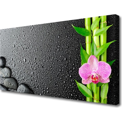 Obraz Canvas Bambus stonka kvet rastlina 100x50 cm