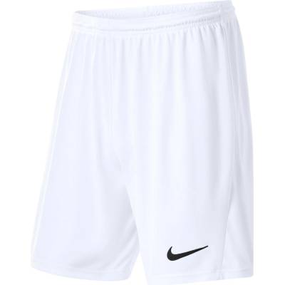 Nike Pánské funkční kraťasy Park bílá