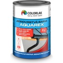 Colorlak Aquarex V2115 jednovrstvová farba 2v1 0,6L RAL 9004 signálne čierna