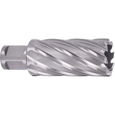 !!!! ABSE N-HS-W19-0290050