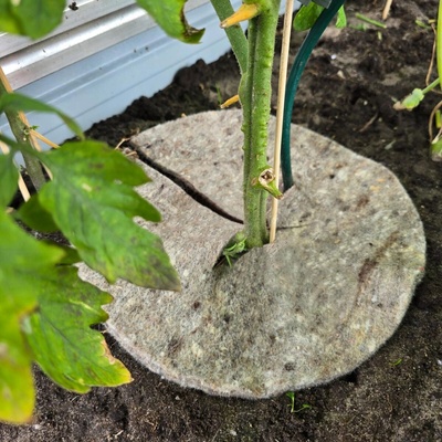 Videx Garden Videx Garden Prírodná záhradná vlna Mary's Disc, 45 cm