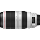 Canon 100-400mm f/4.5-5.6 L IS USM II