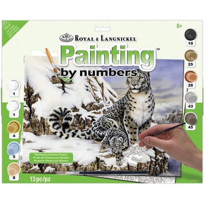 Malování podle čísel Na sněhu