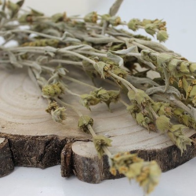 Biorůže Mursalský čaj, hojník horský nať Sideritis scardica Herba sideritis scardica 25 g
