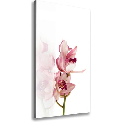 Vertikálny foto obraz na plátne Ružová orchidea 50x100 cm
