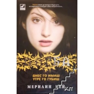 Дарба, книга 3: Днес го имаш, утре го губиш (2011)