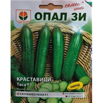 Image 1 of Opal Zi Краставици Теса f1 (средноплодни)