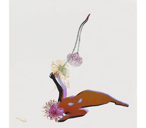 FUTURE ISLANDS - FAR FIELD CD