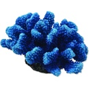 Aqua Excellent Mořský korál modrý 14,5x10,5x7,4 cm