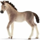 Schleich 13924 hříbě andaluského koně