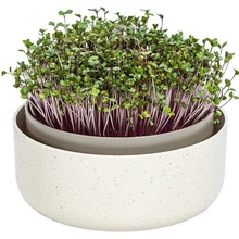 Plastia klíčiaca miska MICROGREENS - slonová kosť s kávovou usadeninou