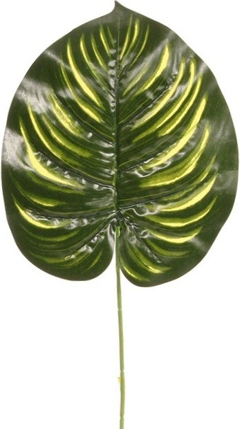 Filodendrón list 43 cm