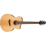 Ibanez PA230E-NSL
