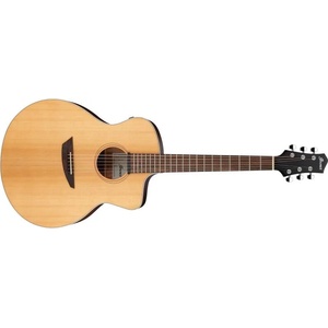 Ibanez PA230E-NSL