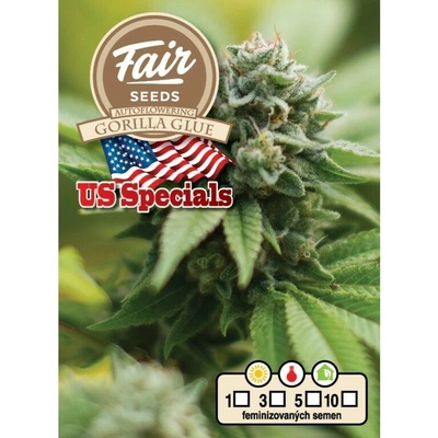 FAIR SEEDS Gorilla Glue AUTO semienka neobsahujú THC 10 ks