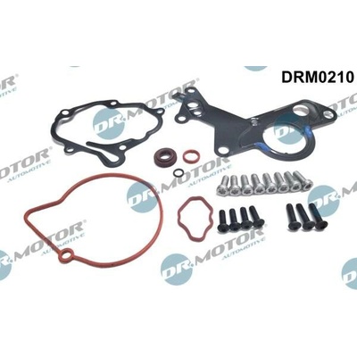 Opravná sada, podtlaková pumpa (brzdová soustava) Dr.Motor Automotive DRM0210 – Hledejceny.cz