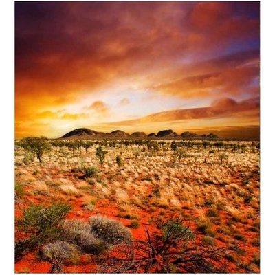 DIMEX ART Флизелинов фототапет австралия 225 x 250 см