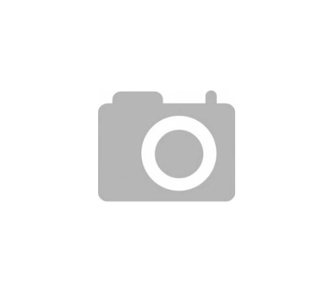 Asus VG249Q1R