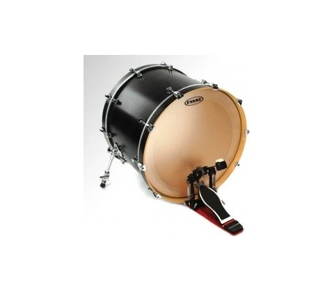 Evans BD24GB3C