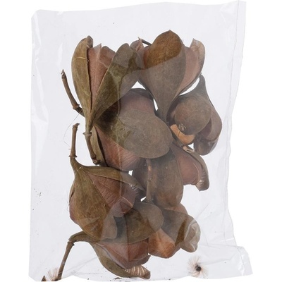 Tefe rose-pacz.8ks /6-9cm/80 bags/ T221
