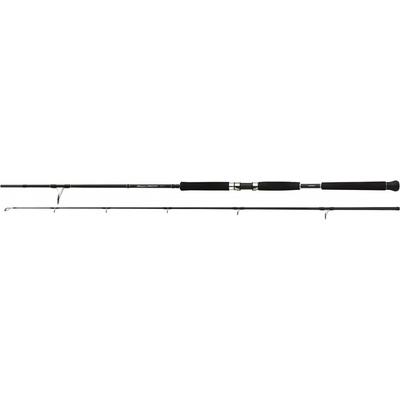 Shimano Beastmaster Pilk 2,4 m 40-95 g 2 díly