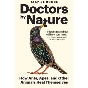 Doctors by Nature - How Ants, Apes, and Other Animals Heal Themselves (ISBN: 9780691239354)