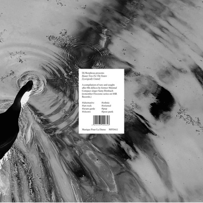 DJ Morpheus Presents Beauty Now for the Future LP – Hledejceny.cz