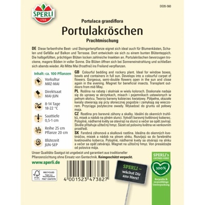Šrucha velkokvětá (Potulaca grandiflora)