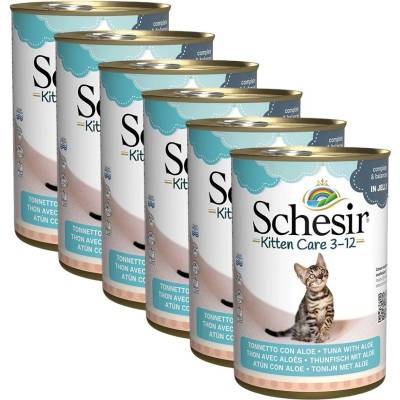 Schesir котенца тон на алое вера в желе 6 x 140 г