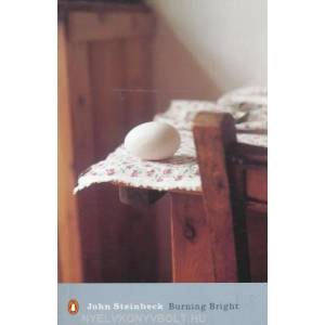Burning Bright | John Steinbeck (ISBN: 9780141186061)