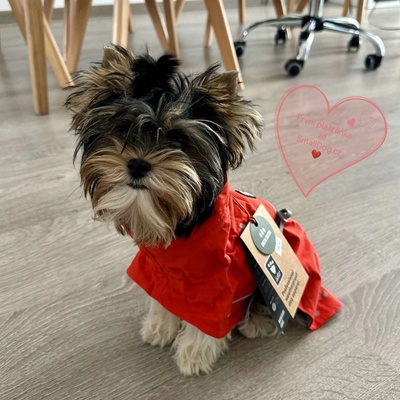 Hurtta Monsoon Rain coat