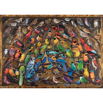 Ravensburger - Puzzle Rainbow of Birds - 1 000 piese
