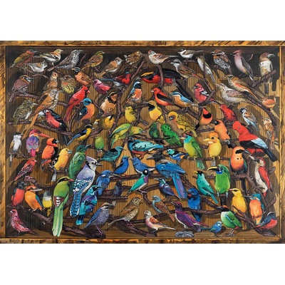 Ravensburger - Puzzle Rainbow of Birds - 1 000 piese