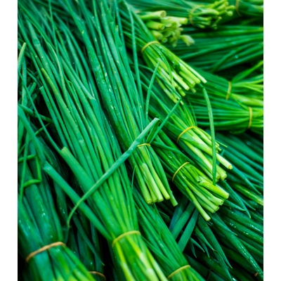 Pažitka Grande - Allium schoenoprasum L. - osivo pažitky - 300 ks