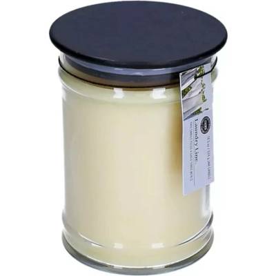 Bridgewater Candle Company Laundry Line 524 g