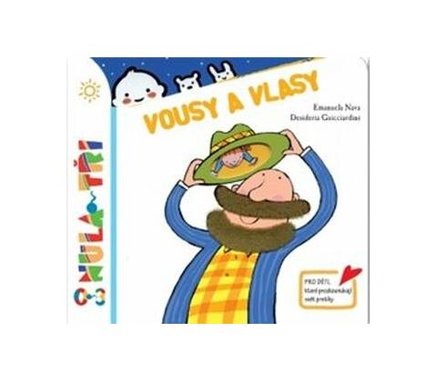 Vousy a vlasy
