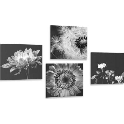 Set obrazů černobílé něžné květiny - 4x 40x40