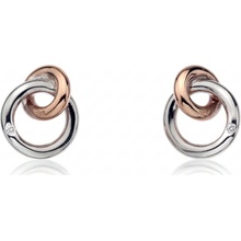 Náušnice Eternity Interlocking Stud DE309