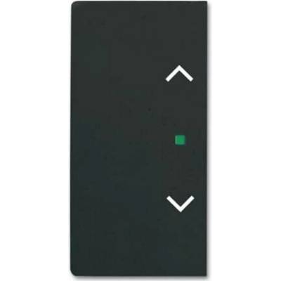 Busch-Jaeger 2CKA006220A0505