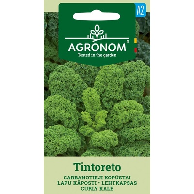 Seklos Кейл къдрав Тинторето Tintoreto