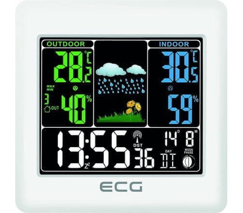 ECG MS 300