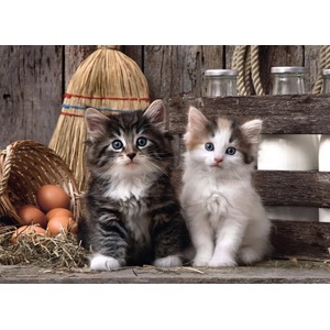 Clementoni - Puzzle Lovely kittens - 1 000 piese - puzzlemania - 15,65 лв