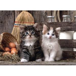 Clementoni - Puzzle Lovely kittens - 1 000 piese