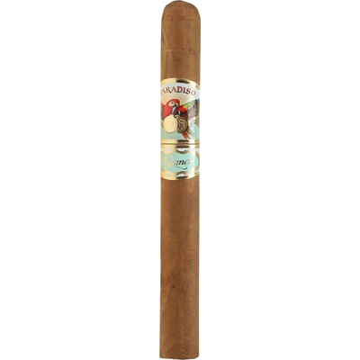 Ashton Cigars Paradiso Elegancia Churchill 1 ks