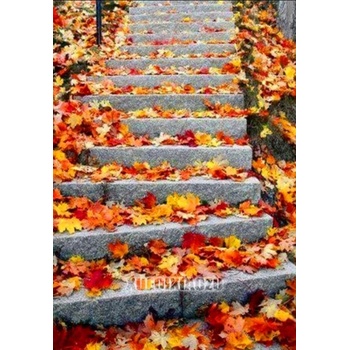 Image 1 of Есен 25/35 см