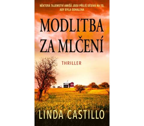 Modlitba za mlčení