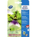 Avery C2552-50