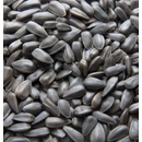 Biostan Biokron Slunečnice černá 5 kg